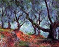 Olivenhain in Bordighera Claude Monet Wald